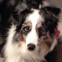 Annette Carr - @ac_tacarr - Twitter