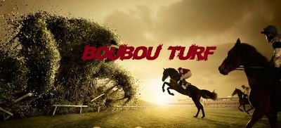 BoubouTurf's profile picture. Rédacteurs pronostiqueurs PMU chaque jour plusieurs chevaux à jouer en gagnant/placé