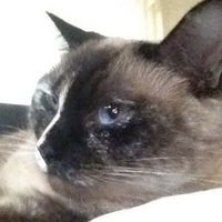 Joe Christman (@joewchristman) 's Twitter Profile Photo