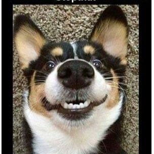 JjkopJohn's profile picture. 