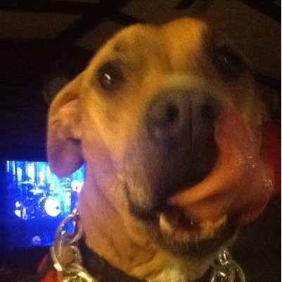 jknoll4's profile picture. Lawyer, Chile Farmer, Dog Father