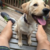 Chris Ip (@coachchrisip) 's Twitter Profile