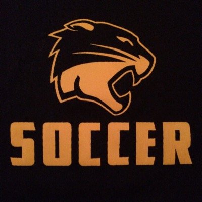 ⚽️--Sylvania Northview Wildcats Soccer--⚽️ (W-L-D) Men (14-0-2) Women (13-4-2)