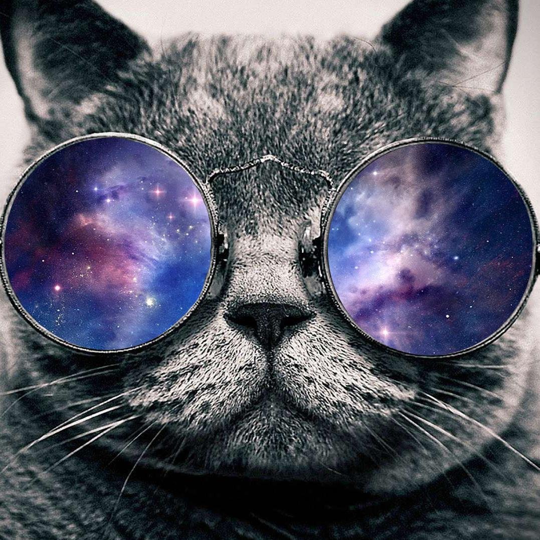 CowThatsBland's profile picture. Eat, sleep, reddit, ROBLOX