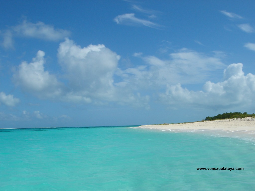 croker1's profile picture. 