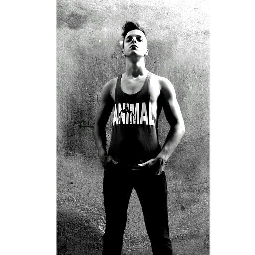 WhatsApp 11 9 9866 1615  Instagram @JeffersonFabris