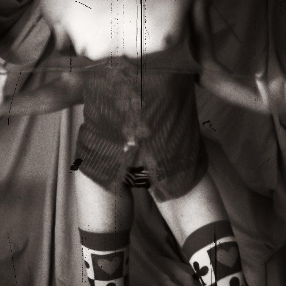 HeidiHoalicious's profile picture. 