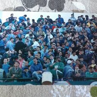 picarus (@picarus1) 's Twitter Profile