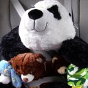 lee shafer - @lamper2 - Twitter