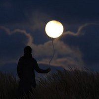 Hòa Paris (@7ea8691dea044be) 's Twitter Profile