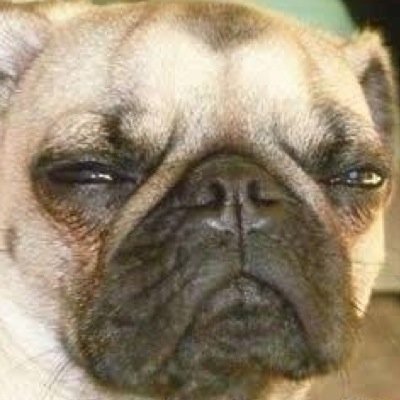 Jai_5h1t's profile picture. 