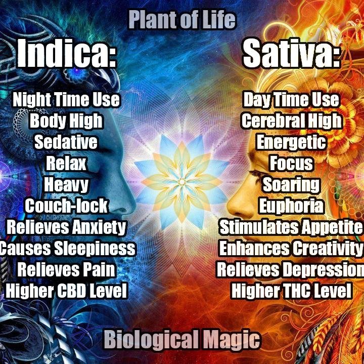 “The only good is knowledge and the only evil is ignorance.” ― Socrates

#Cannabis | #Hemp | #OpenSource | #Veganism