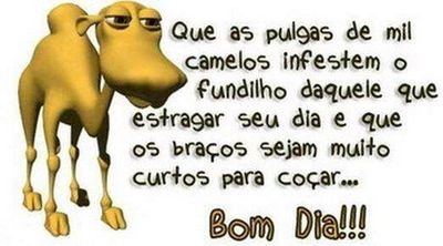 operação virar betalab... sigo e rt de volta!