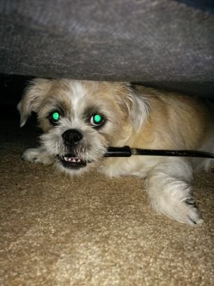 adam_jogibwa's profile picture. whats wrong with a mask shizz now I get to be Spider-Man