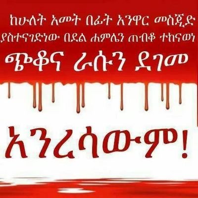 ‏‏فاطمه علي محمد