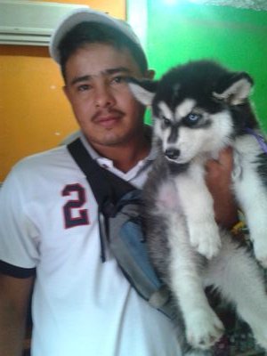 whatsapp 0424466066