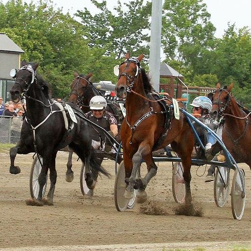 CarNft's profile picture. 