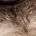 Thorin's Chest Hair (@hairydurin) Twitter profile photo