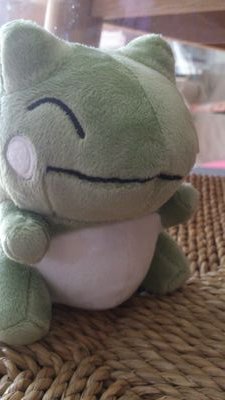 色々と病気を患ってますが、元気に生きています！リリカルなのは大好き！
婚期を捨てたＹＰ！