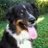 SimpkinsJ's profile image