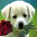 Jonathan Galan - @b831be7e360b4f6 - Twitter