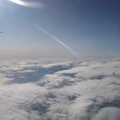 flyaway4255's profile picture. 