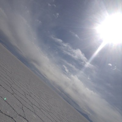 SimlpleT's profile picture. I would like to build a simple web tool, and get information about simple