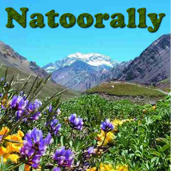natoorally's profile picture. En Natoorally queremos hacer llegar a la gente todo lo que sabemos y lo que seguiremos investigando sobre medicina herbal y mineral.