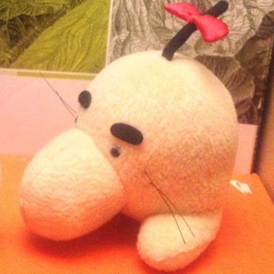 俺は女子大生じゃないのか/アイスクライミングやってる方と繋がりたい
