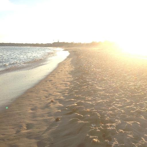 thebackhill's profile picture. Coming Soon!