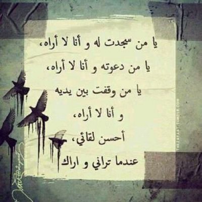 SmilSelen's profile picture. استغفرك ربي واتوب اليك