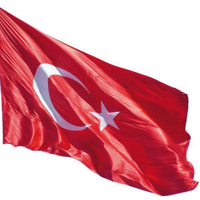 mustafaumutl Profile Picture