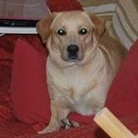 LOLETA BF (@patiloleta) 's Twitter Profile