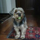 Fernando Pastor - @FerpasPastor - Twitter