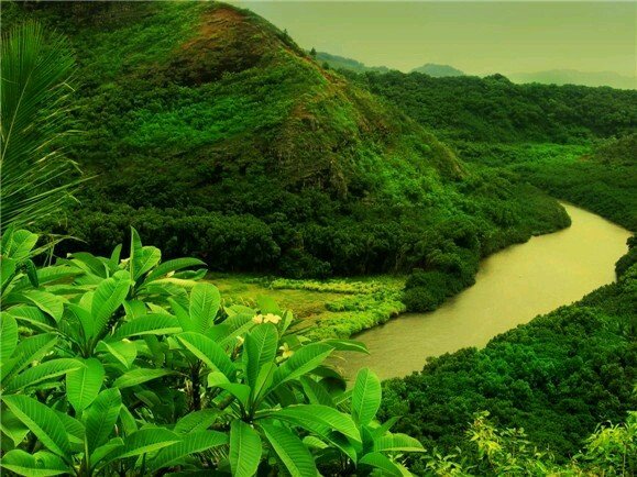 وَجَنَى الْجَنَّتَيْنِ دَانٍ🌳
🌳Moslem Sonnah🌳
أشهد أن لا إله إلا الله و أشهد أن محمد رسول الله 
القرآن كلام الله و محمد صل الله عليه وسلم خاتم الأنبياء❤