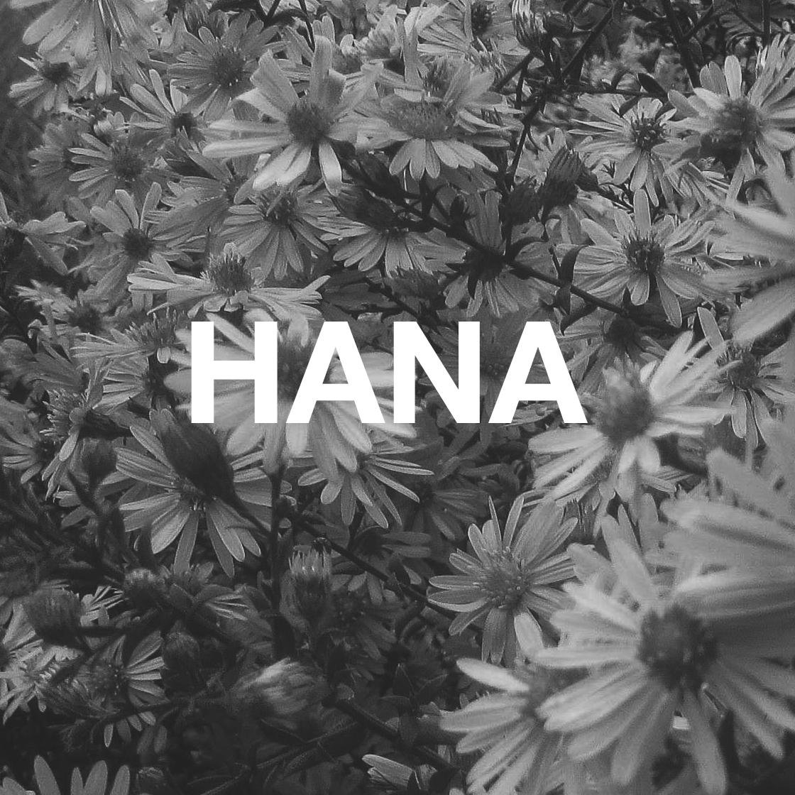 HanaTheatre's profile picture. An online platform for long-form theatre review and commentary