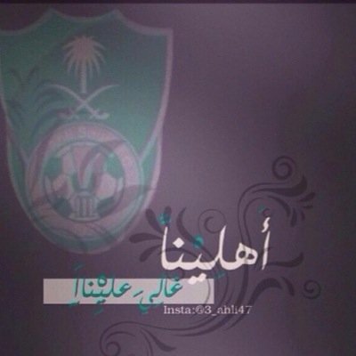 Majed_albadrey's profile picture. 