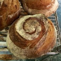 Bread Bread Bakery (@breadbreadhead) 's Twitter Profile