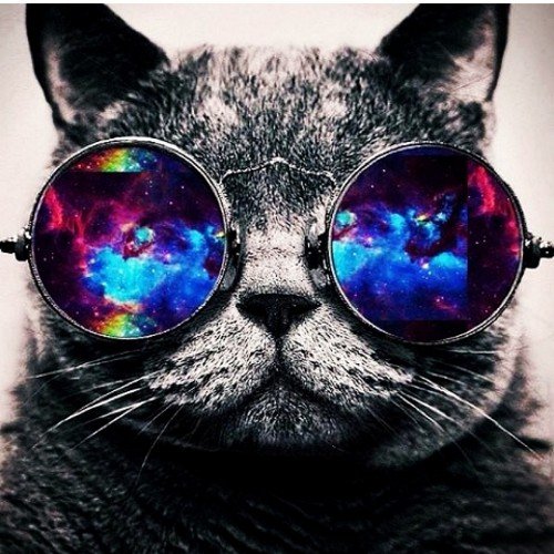 pablo4_777's profile picture. Pasando el día