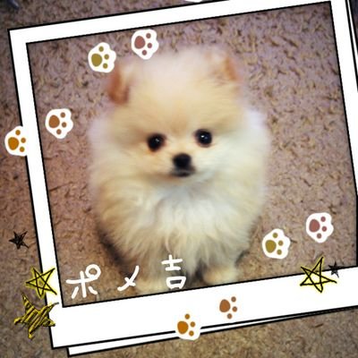 高１の娘を持つ主婦です🤗🌿
BTS再加熱中🤩🤩やっぱ皆かっこいいんよなぁ😂😂💕
あっ、ちなみに親子ARMYです😋😋
無言フォローすみません😶😶💦気軽に絡んで下さい😚
ただただ喜びます🤤🤤💜