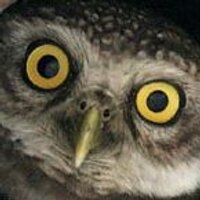 CRB (@crb) 's Twitter Profile