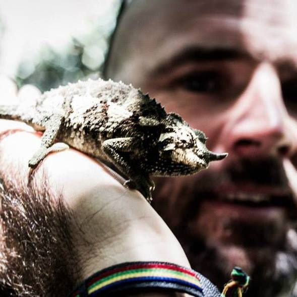 AdriaanAdams's profile picture. Exploring the realities of the unknown...