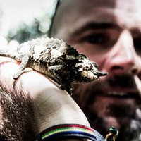 Adriaan Adams (@adriaanadams) 's Twitter Profile