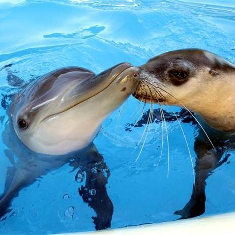 Eine_Berlinerin's profile picture. 