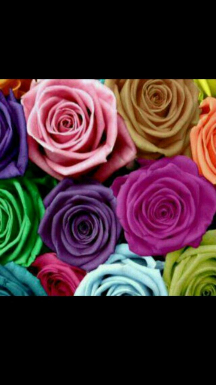 لا إله إلا أنت سبحانك إني كنت من الظالمين ♡ ♥