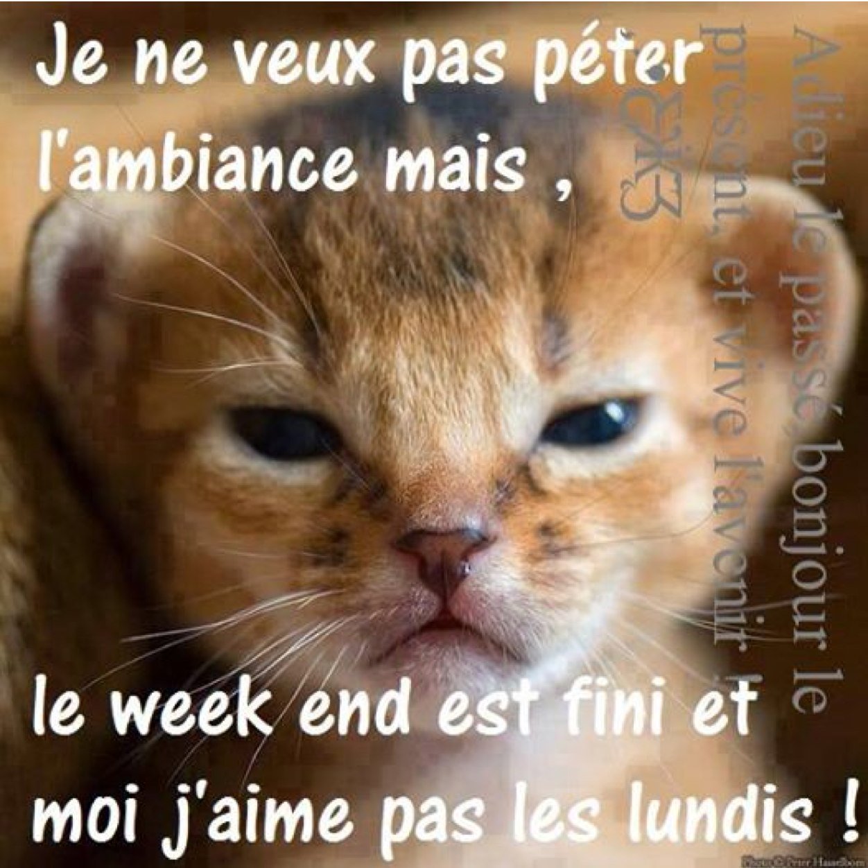 _joie__et_'s profile picture. Les martyrs nous enseignent que les richesses, le prestige et l’honneur ont peu d’importance : le Christ est l’unique vrai trésor !!!