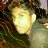 Profile Picture of Naval.C.N Chulliyil (@naval31392) on Twitter
