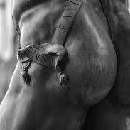 pulpitos22's profile picture. 