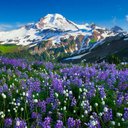 Jagroop Nagra (@102Nagra) Twitter