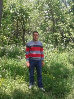 kral vanlı